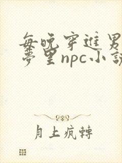 每晚穿进男神的梦里npc小说