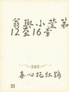 翁与小莹第十部12至16章