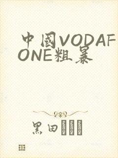 中国VODAFONE粗暴