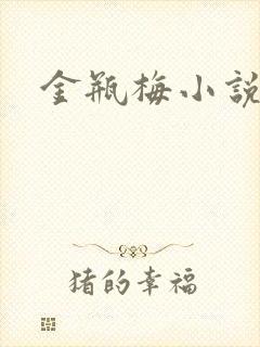 金瓶梅小说在线