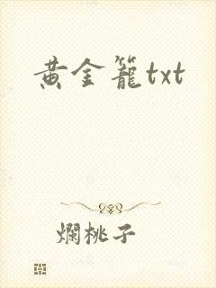 黄金笼txt