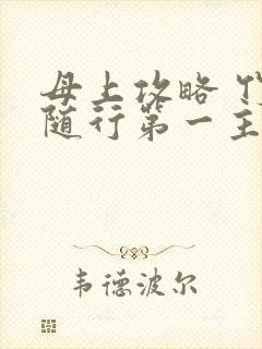 母上攻略 竹影随行第一主板