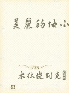 美丽的他小说