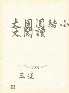 大团圆结小茹全文阅读