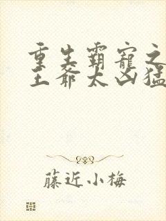 重生霸宠之摄政王爷太凶猛