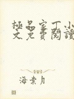 极品家丁小说全文免费阅读