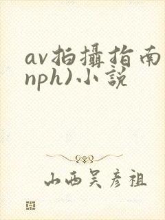 av拍摄指南(nph)小说