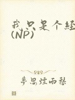 我只是个经纪人(NP)