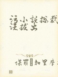 污小说总裁整夜没拔出