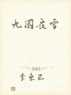 九国夜雪