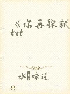 《你再躲试试》txt