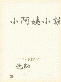 小阿姨小说