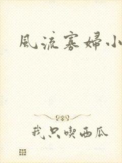 风流寡妇小说