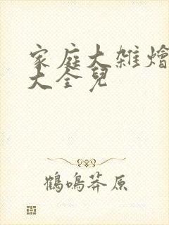 家庭大杂烩小说大全儿