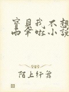 宝贝我不想带小雨伞啦小说