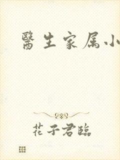 医生家属小说