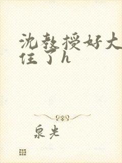 沈教授好大含不住了h