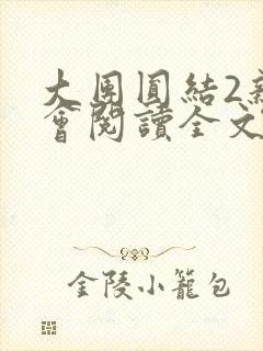 大团圆结2亲情会阅读全文