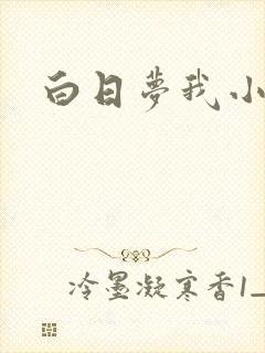 白日梦我小说