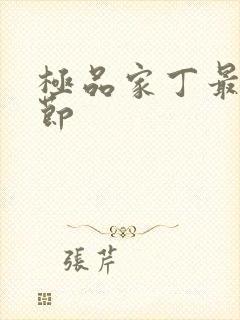 极品家丁最新章节