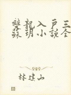 双龙入户三人行苏玥小说全文阅读