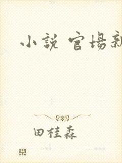小说 官场新贵