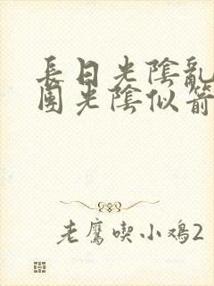 长日光阴乱作一团光阴似箭眇眇