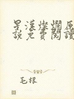 星汉灿烂原著小说免费阅读