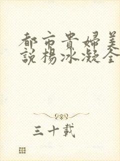 都市贵妇美腿小说杨冰凝全文阅读