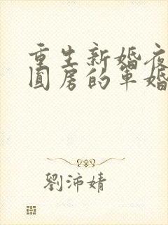 重生新婚夜正在圆房的军婚