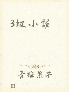 3级小说