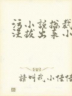 污小说总裁整夜没拔出来小说在线阅读