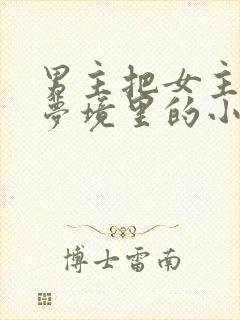 男主把女主拖进梦境里的小说