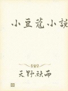 小豆蔻小说