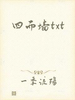 四面墙txt