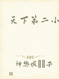 天下第二小说