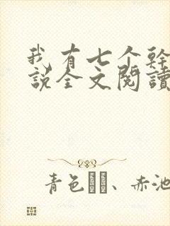 我有七个干妈小说全文阅读
