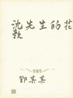 沈先生的花式调教