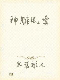 神雕风云
