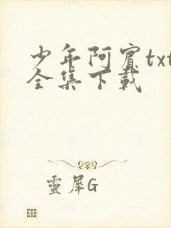少年阿宾txt全集下载
