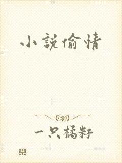 小说偷情