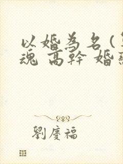 以婚为名 (军魂 高干 婚恋)