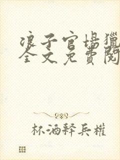 浪子官场猎艳记全文免费阅读