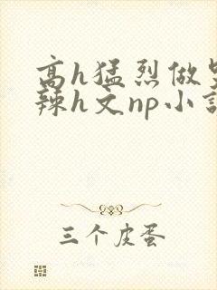 高h猛烈做哭高辣h文np小说