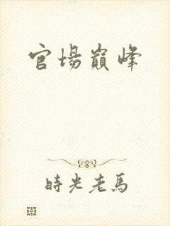 官场巅峰