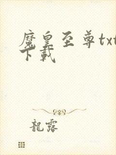 魔皇至尊txt下载