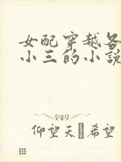 女配穿越各个做小三的小说