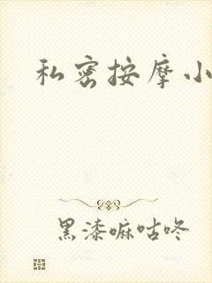 私密按摩小说