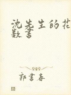 沈先生的花式调数书