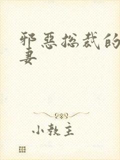 邪恶总裁的娇宠妻